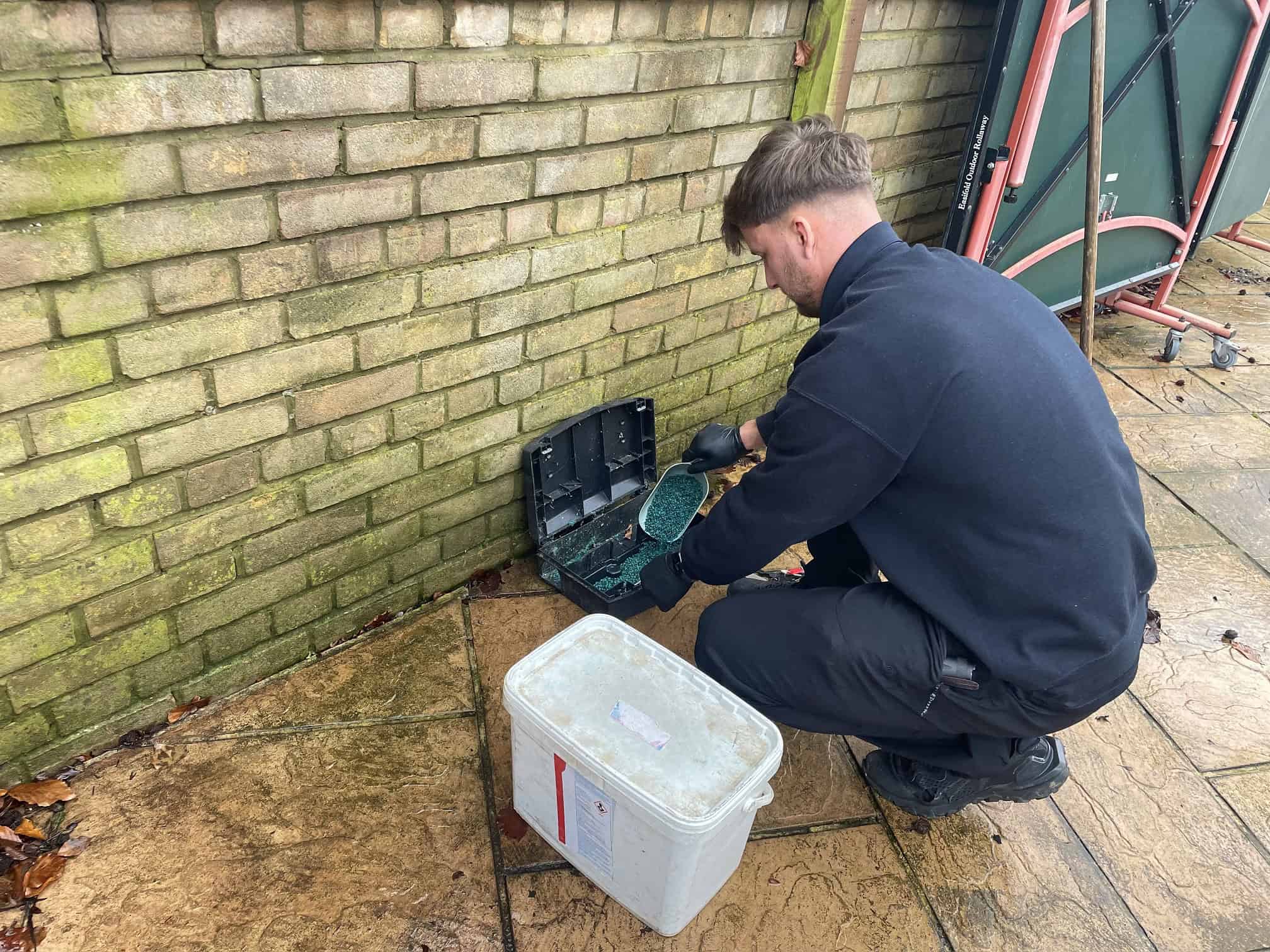 Professional rat treatment and removal service in Bournemouth